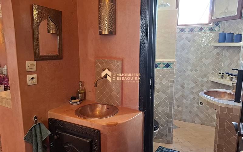 Appartement chaleureux, deux terrasses  (15)